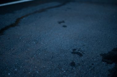 a black cat paw prints on the ground