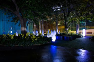 a night time scene of a park with lights and trees