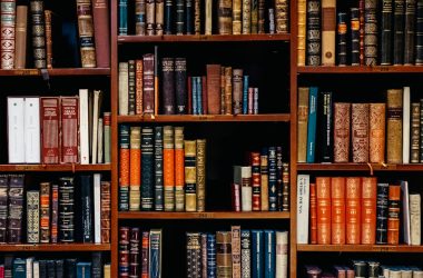 assorted-title of books piled in the shelves