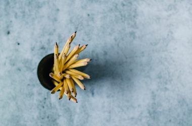 yellow flower on gray surface