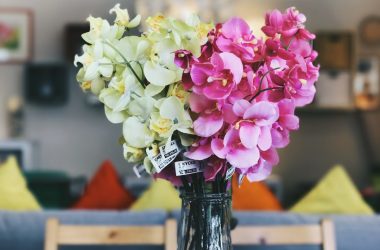 pink and green flowers on vase