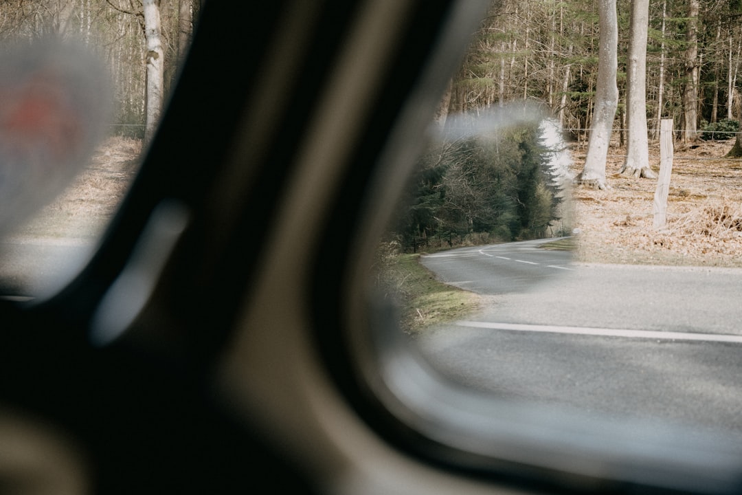 car side mirror showing green trees during daytime