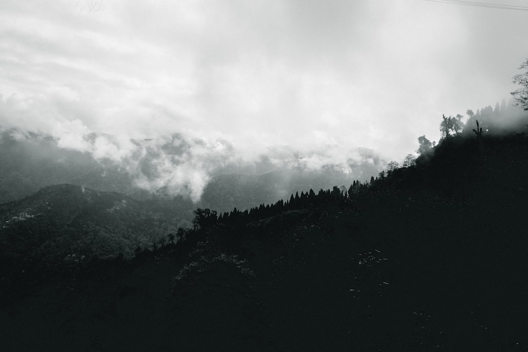 a black and white photo of clouds and trees