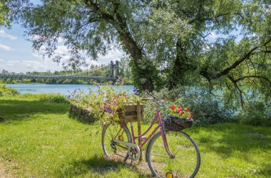 a bike with a basket of flowers on the back
