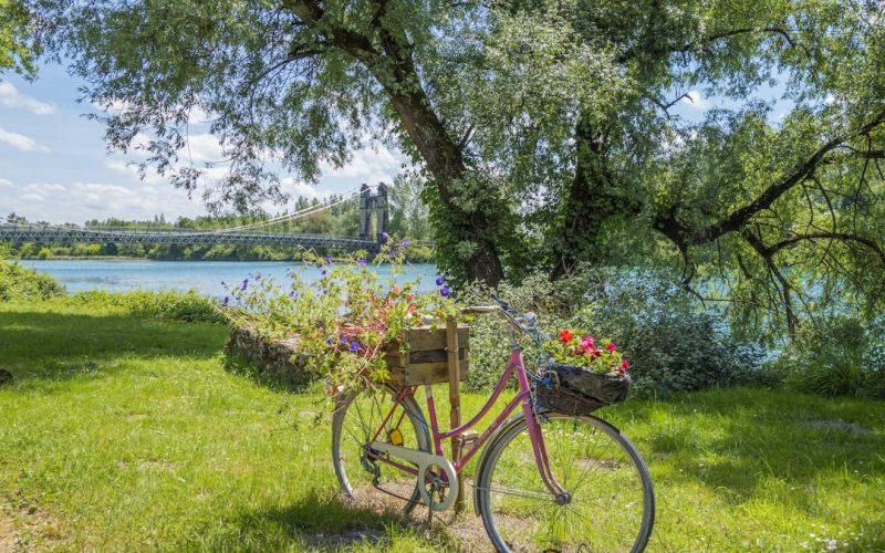 a bike with a basket of flowers on the back