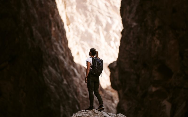 a person standing on a rock in a canyon