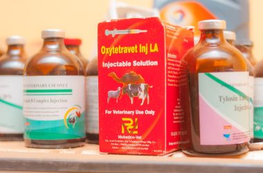 several bottles of vitamin supplements on a shelf