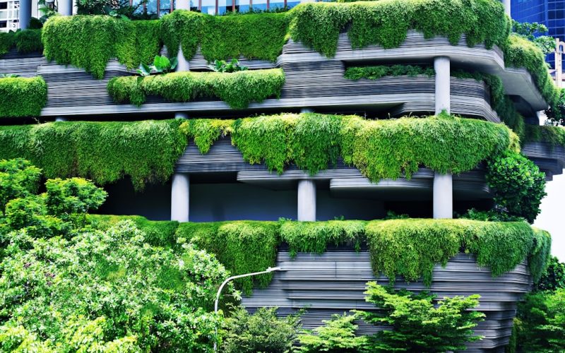 green plants on white concrete fence