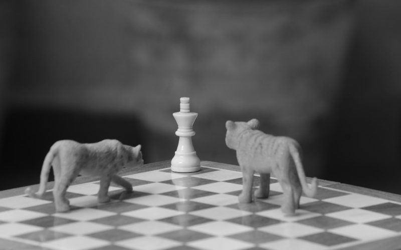 a chess board with two toy animals on it