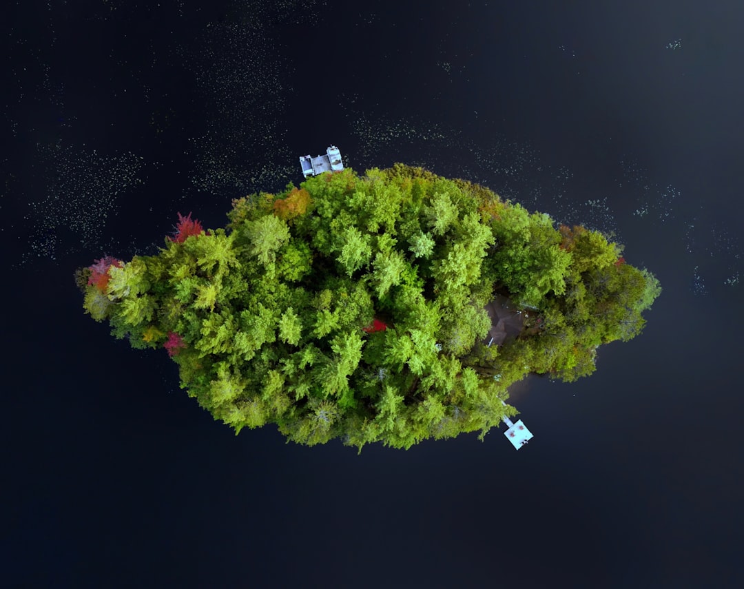 An aerial view of a small island in the water