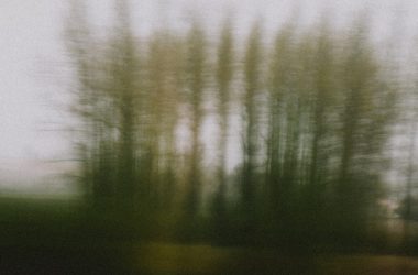 a blurry photo of trees in a field