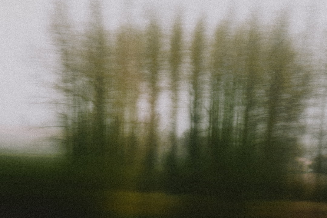 a blurry photo of trees in a field