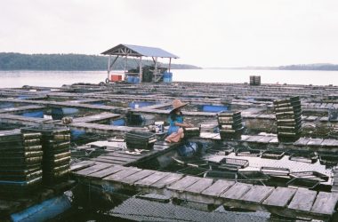 aerial photo of port