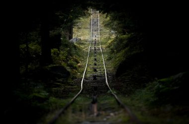 a train track in the middle of a forest