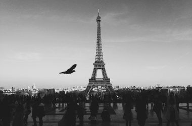 bird flying above people Walkin near Eiffel tower