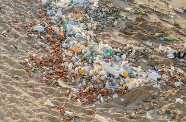 A beach covered in lots of plastic bottles and debris