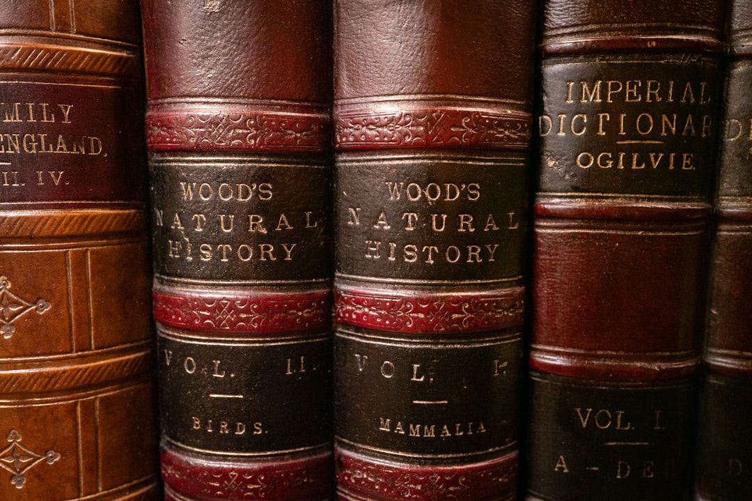 A row of books sitting on top of a shelf