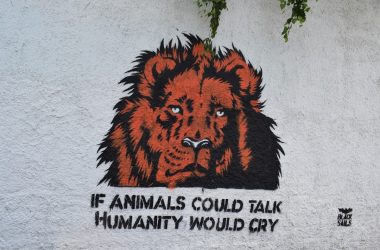 brown lion head wall decor