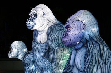 gorilla 3D wallpaper