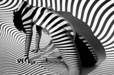 a black and white photo of a zebra