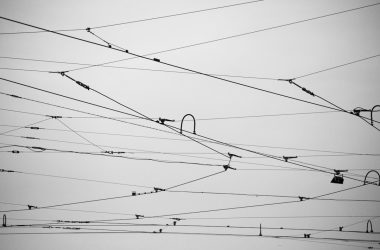 a black and white photo of power lines
