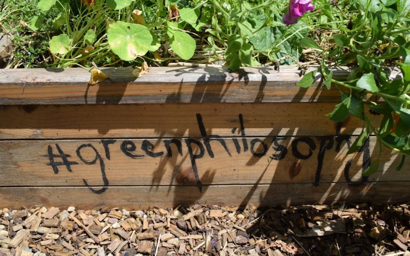 brown wooden plant box