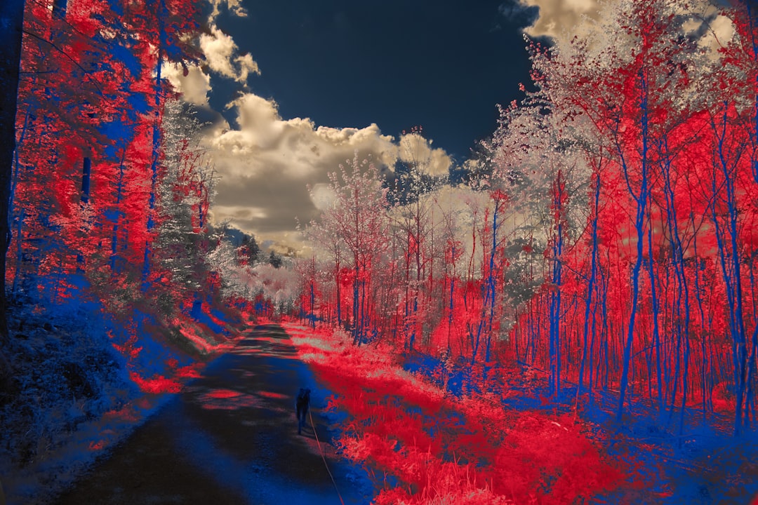 a red and blue photo of a person walking down a road