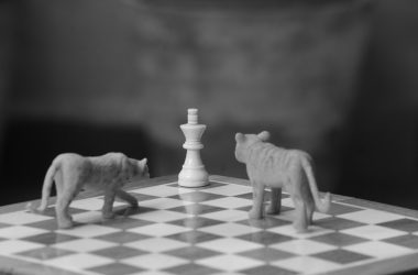 a chess board with two toy animals on it
