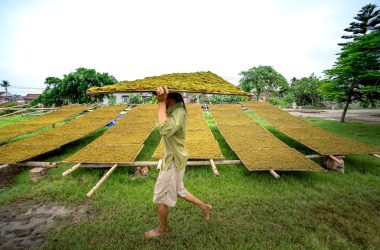a man walking across a lush green field