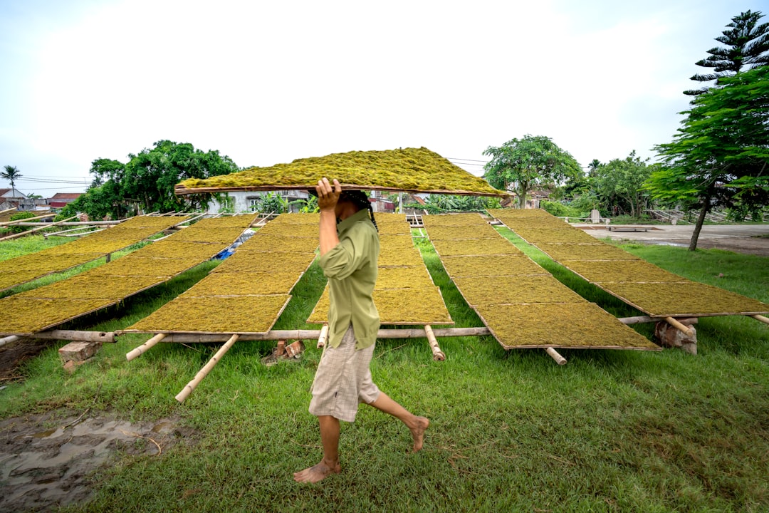 a man walking across a lush green field