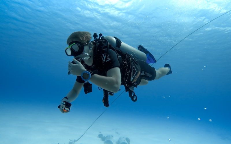 person in black and white diving suit under water