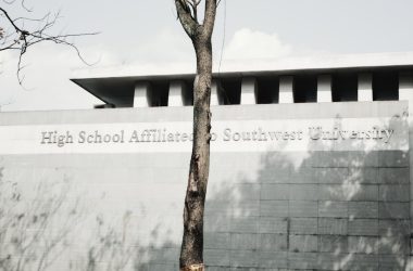 brown tree near white concrete building during daytime