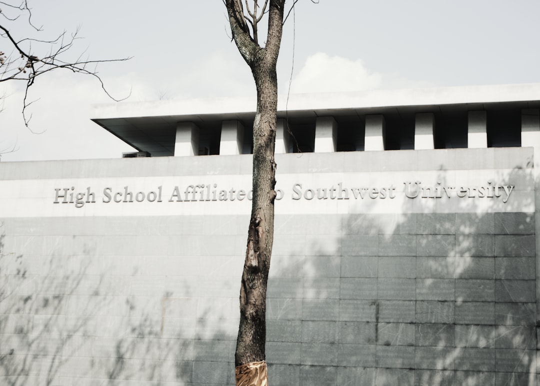 brown tree near white concrete building during daytime