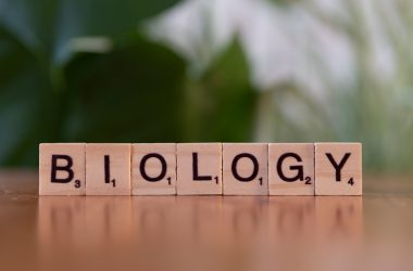 A wooden block spelling the word biology on a table